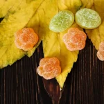 Can you travel with magic mushroom gummies?